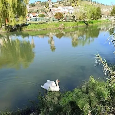Thomar River Inside Дом отдыха Томар
